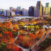 Cần làm những gì khi đặt chân đến Hàn Quốc?