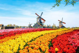 Khám phá xứ sở Hoa Tulip rực rỡ sắc màu