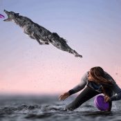 Những bức ảnh chuyển động ấn tượng của International Photography Award 2020