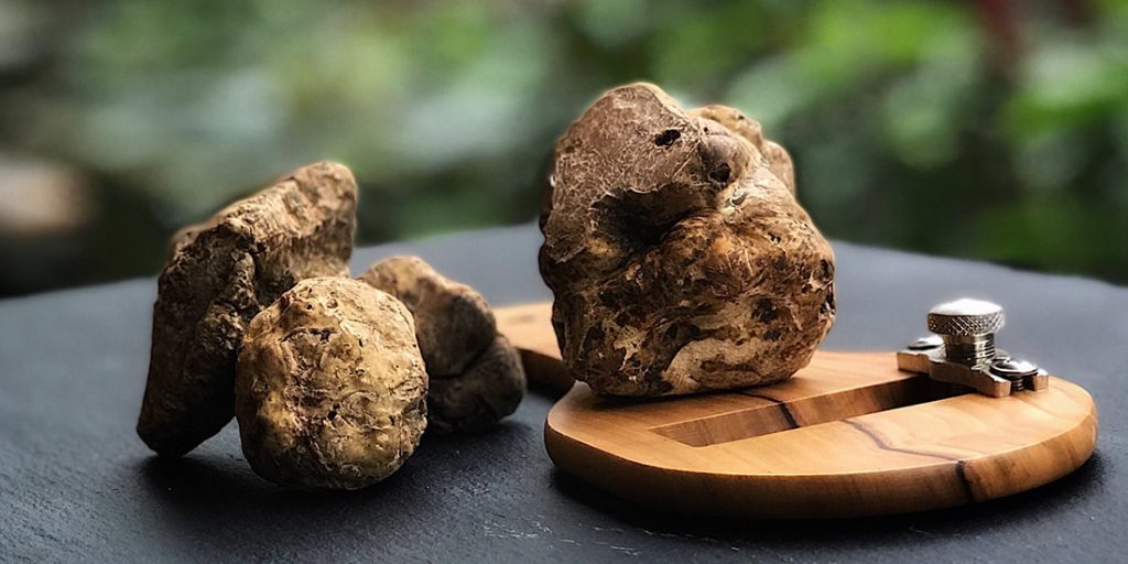 Nấm Truffle siêu đắt đỏ, ẩm thực thượng lưu và giới hoàng tộc ảnh 10