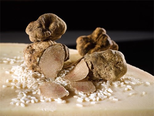 Nấm Truffle siêu đắt đỏ, ẩm thực thượng lưu và giới hoàng tộc ảnh 3
