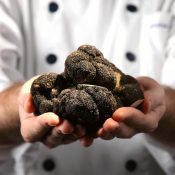 Nấm Truffle siêu đắt đỏ, ẩm thực thượng lưu và giới hoàng tộc ảnh 7