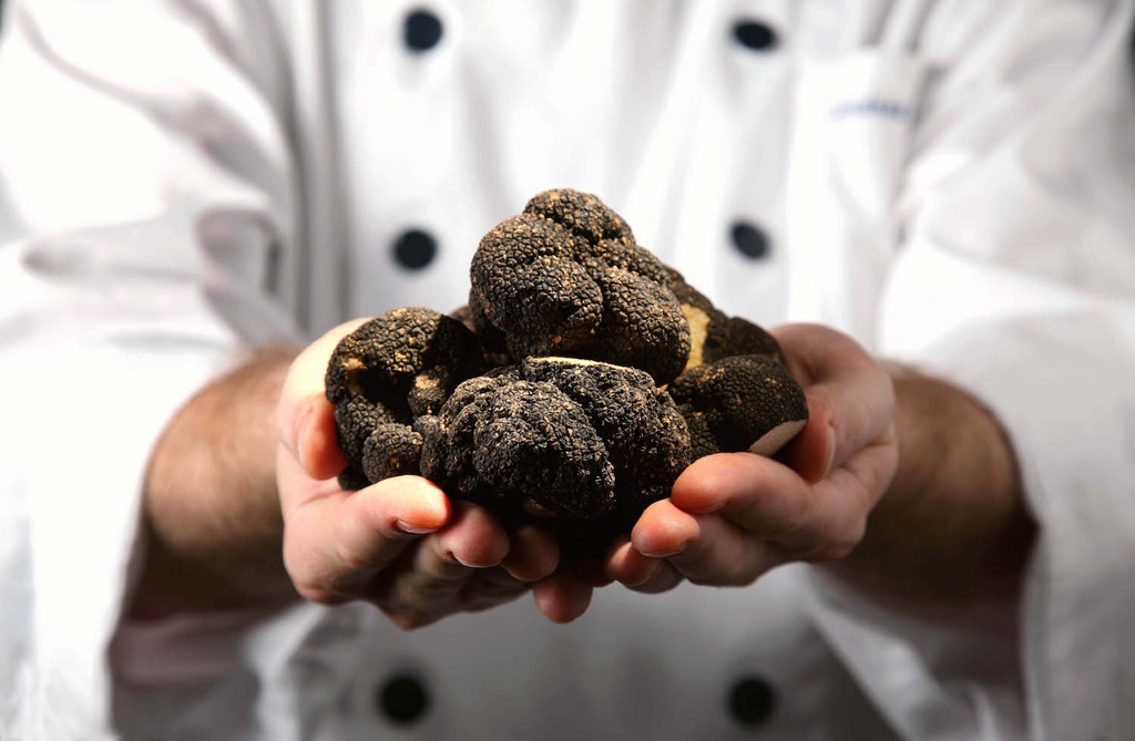 Nấm Truffle siêu đắt đỏ, ẩm thực thượng lưu và giới hoàng tộc ảnh 7