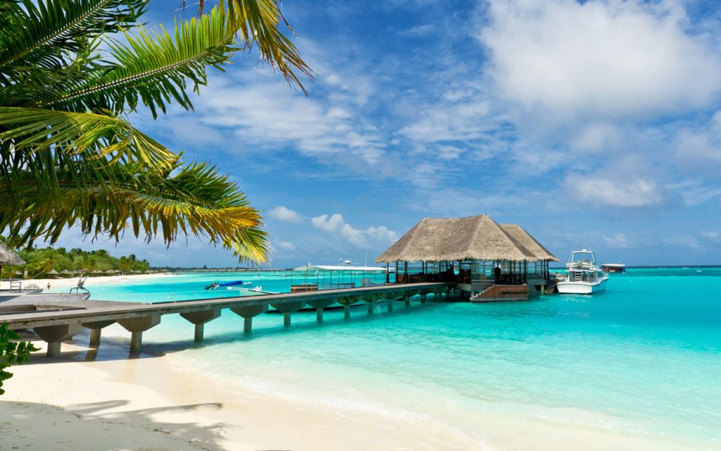 5 điều thú vị nên làm khi du lịch Maldives ảnh 6