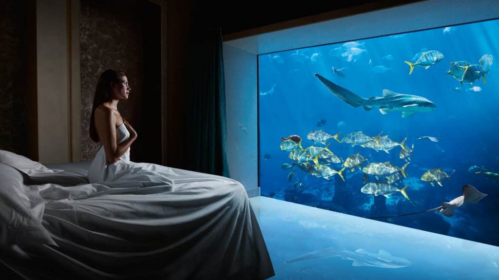 15 khách sạn dưới nước đáng kinh ngạc trên thế giới ảnh 31